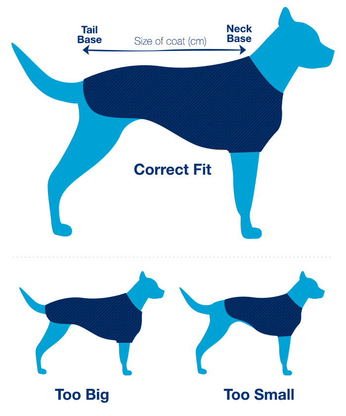 Dog Size Guide